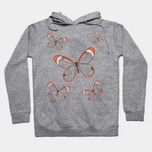 Glasswing butterfly cartoon illustration Hoodie